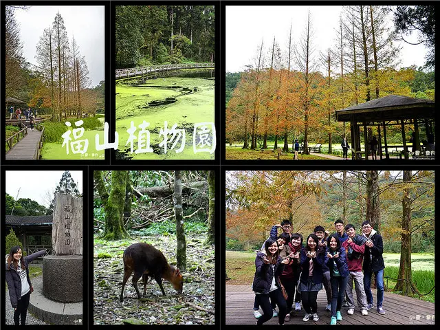 【宜蘭。遊記】哈囉小山羌。每日限額入園之野生動植物保護區 ─ 福山植物園