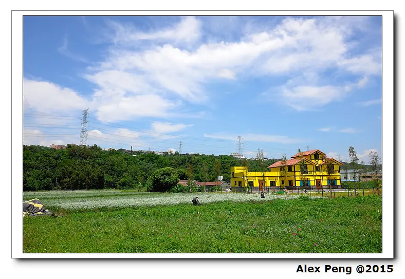 桃園-大溪-大鶯路+中新里韭菜花田+嘟嘟美食館+中壢-老街溪河川教育中心