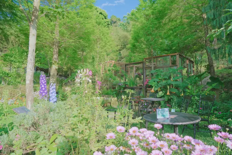 苗栗景點度假園區|卓也小屋|森林系花園下午茶