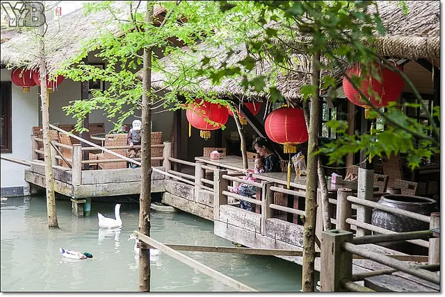 [攝影] 苗栗三義卓也小屋．發現怡然恬靜的桃花源