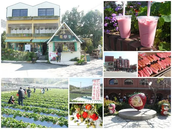 苗栗 大湖酒莊 草莓香腸&花間集 草莓奶昔～春日採草莓去        
      