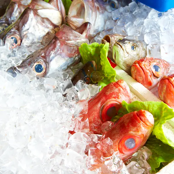 英吉利活海鮮餐廳