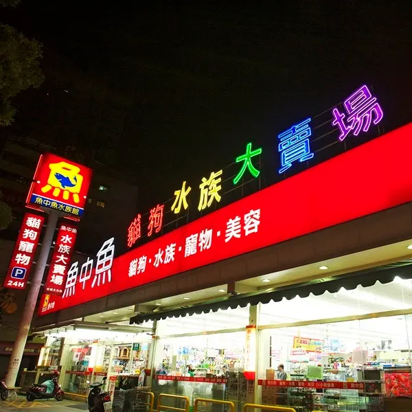 魚中魚（文化店）