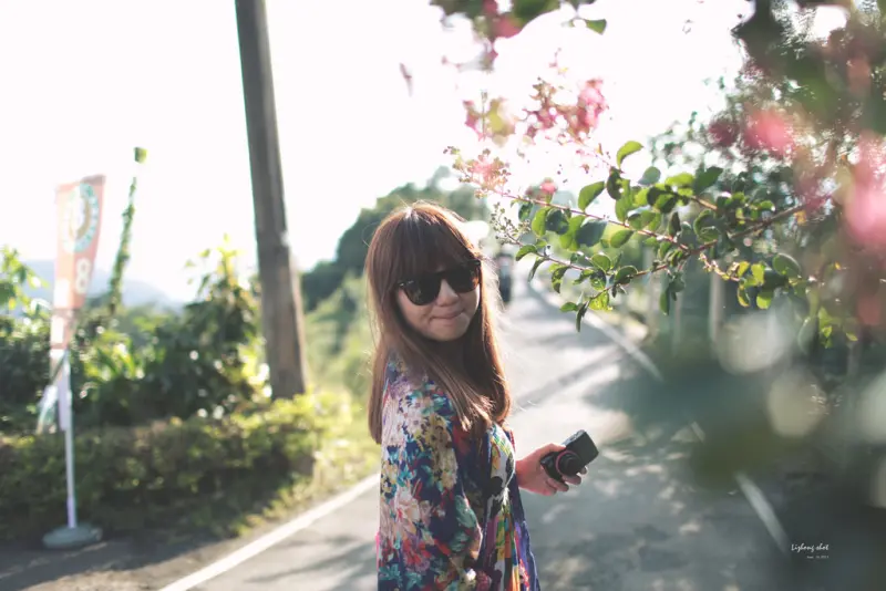 30分鐘車程的石碇潭腰的八卦茶園