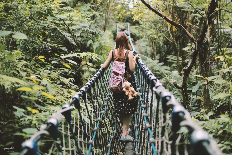 這淡淡的詩意襲上之桐花公園