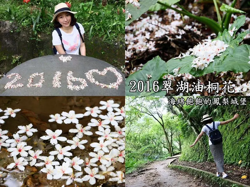 新北汐止翠湖油桐花季-五月雪-北部賞桐景點推薦
