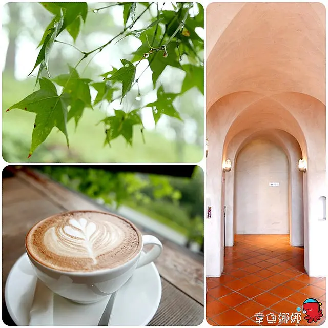 【天堂古堡】苗栗大湖景點《天空之城》，享受被森林包圍，吸收清新"芬多精"，漫步幽遊天空中~