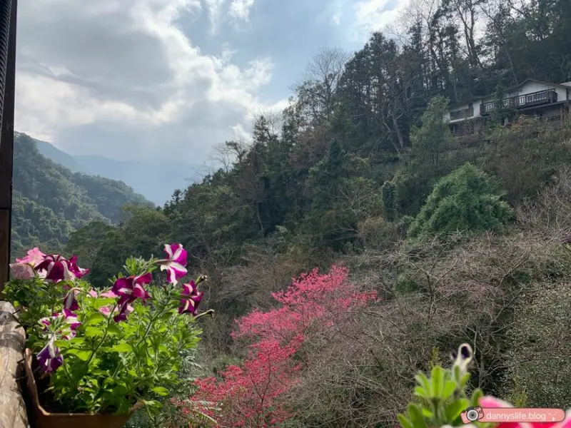 苗栗南庄深山景觀餐廳/民宿•超美風景彷彿世外桃源，群山環繞，喝下午茶、賞櫻花～丹尼的吃喝玩樂 dannyslife.blog
