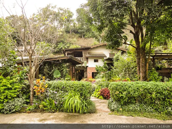 [吃喝]寄情於山野間的閒雲野鶴～山行玫瑰。