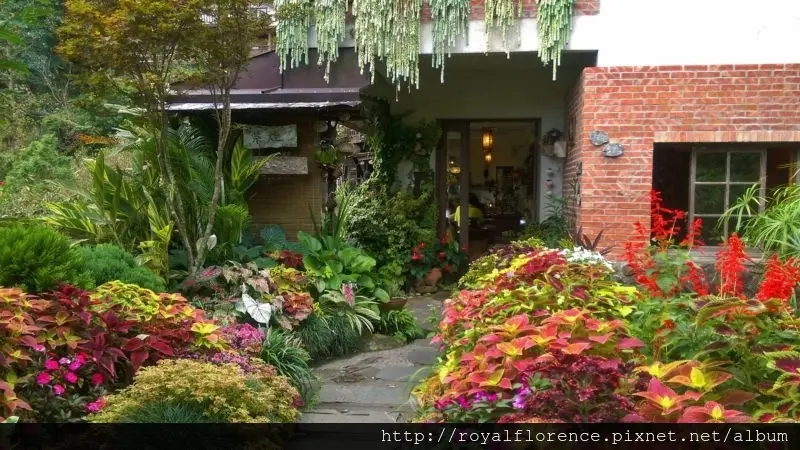 [食記] 苗栗縣南庄鄉 山行玫瑰 山行寄野 景觀餐廳 咖啡廳 民宿 山妍四季~