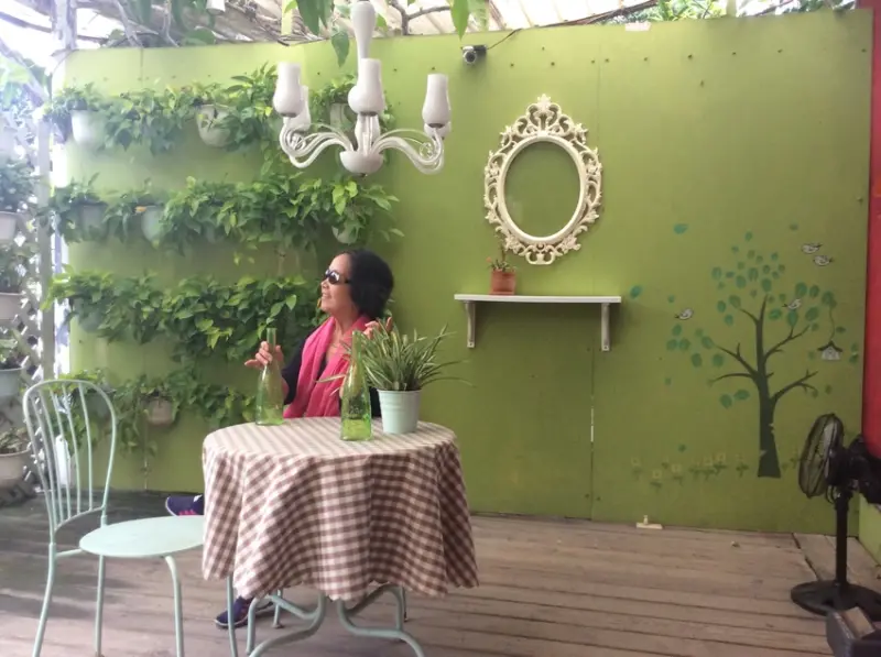 桃園八德區/花園流水池畔亭台/[蘿拉咖啡]下午茶好雅境