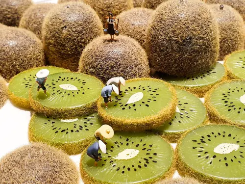 【高雄駁二展覽】微型展2.0 高雄站 幽浮珍珠奶茶+迴轉壽司高速公路