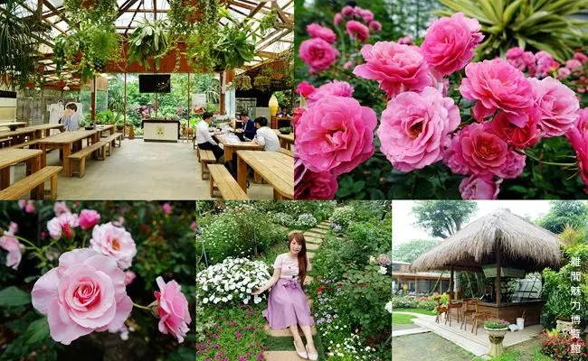 桃園楊梅免門票景點 ▶ 雅聞魅力博覽館 ▶ 歐式宮廷玫瑰花園、峇里島風情觀光工廠 有沙坑及DIY手作玻璃屋 桃園一日遊推薦!
