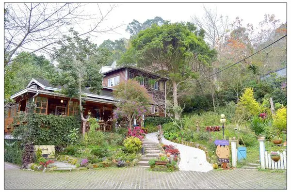 〈苗栗南庄〉橄欖樹~咖啡民宿