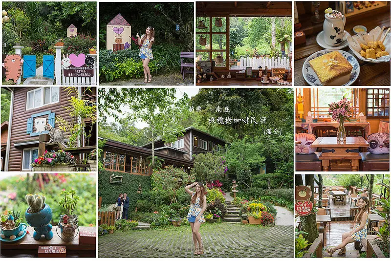 【苗栗。南庄景點】橄欖樹 / 民宿 / 螢火蟲 / 桐花 / 景觀餐廳 ~ 可愛貓咪出沒。南庄最溫馨的童話小屋