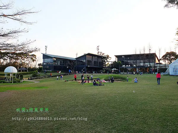 【桃園縣】草原婚禮。「綠風草原餐廳」有大草原可以盡情奔跑，毛小孩交朋友的快樂天堂