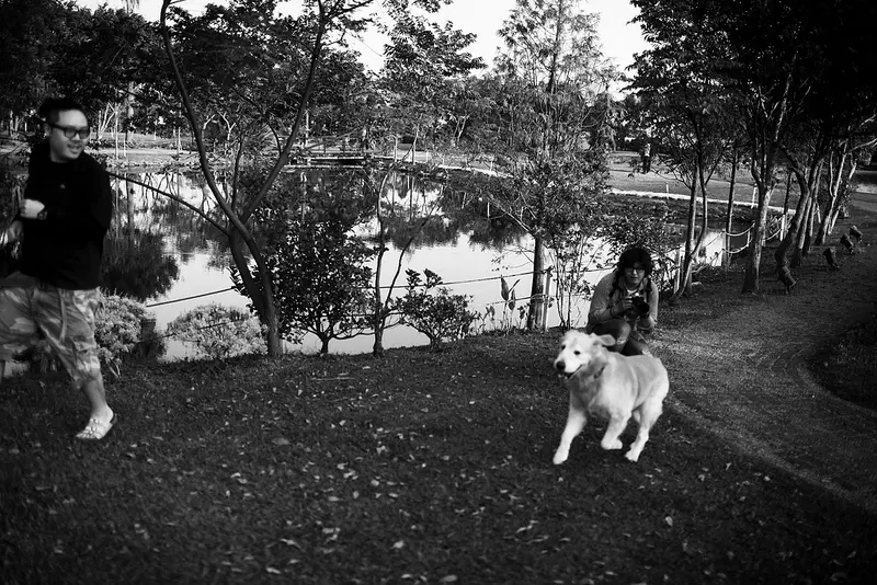 小狗野餐的好自在下午天＃（桃園 綠風草原餐廳）