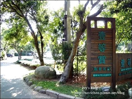 <食記> 龍潭。壹等賞景觀茶園