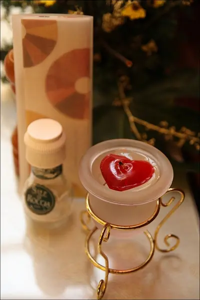 【桃園】二訪藍月莊園。天使幼稚園