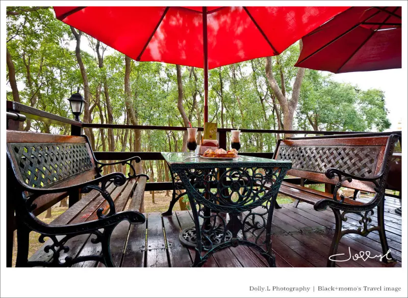 通霄│上田咖啡休閒莊園‧一杯咖啡坐擁山林