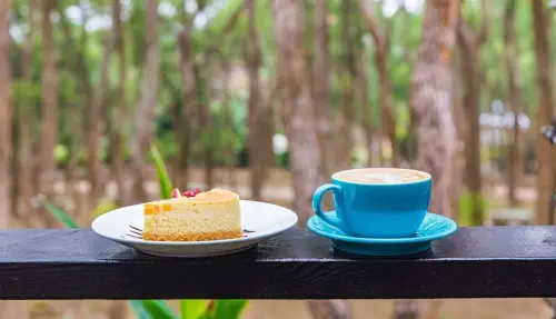 【苗栗-通霄咖啡下午茶】上田咖啡休閒莊園.森林風下午茶.咖啡、蛋糕、芬多精