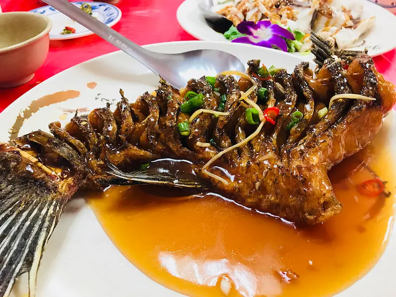 [桃園] 龍潭區-大石門活魚餐廳- CP值超級高而且好吃到爆的活魚餐廳