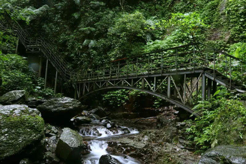 宜蘭健行｜林美石磐步道｜礁溪亞熱帶雨林步道
