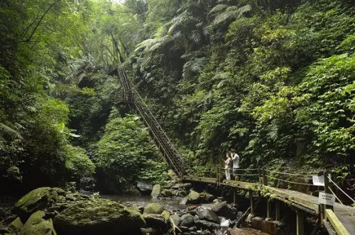 林美石磐步道~~平緩好走、林蔭夾道，炎炎夏日裡讓人感受沁涼氣息