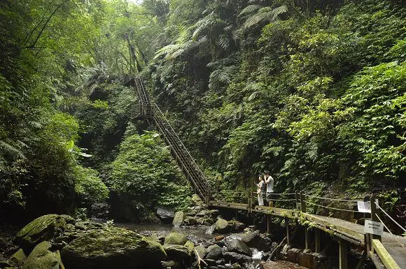 林美石磐步道~~平緩好走、林蔭夾道，炎炎夏日裡讓人感受沁涼氣息