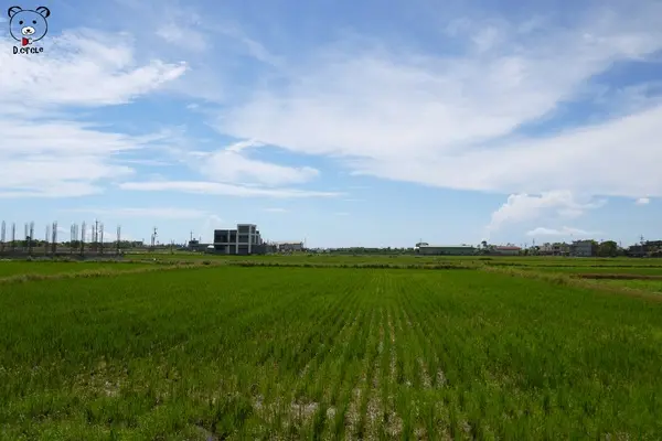 宜蘭●礁溪-林美石磐步道~夏日必去的踏青消暑景點!!