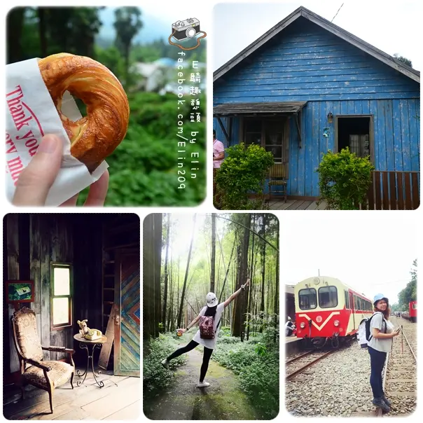 【遊】上山避暑趣！奮起湖+檜木甜甜圈+星空小木屋