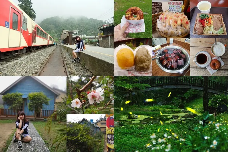 嘉義賞螢之旅｜4條路線，讓你一次攻略✔嘉義賞螢秘境✔奮起湖✔竹崎/梅山等景點&美食(自駕/阿里山小火車)