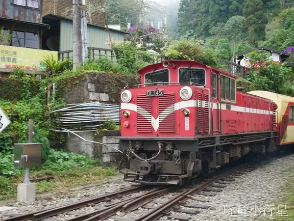 軌道迷必訪，阿里山林業鐵道，奮起湖車站/嘉義免費親子景點