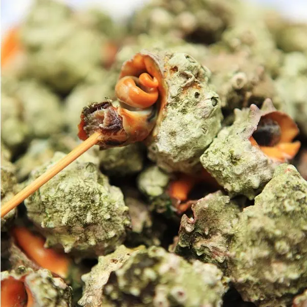 望安島—岩川休閒中心