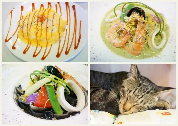 適合聚會又免服務費的美味【桃園/藍迪亞餐屋】        
      