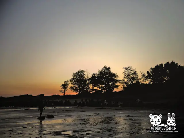 
【金門美食旅遊】成功海邊-花蛤季
