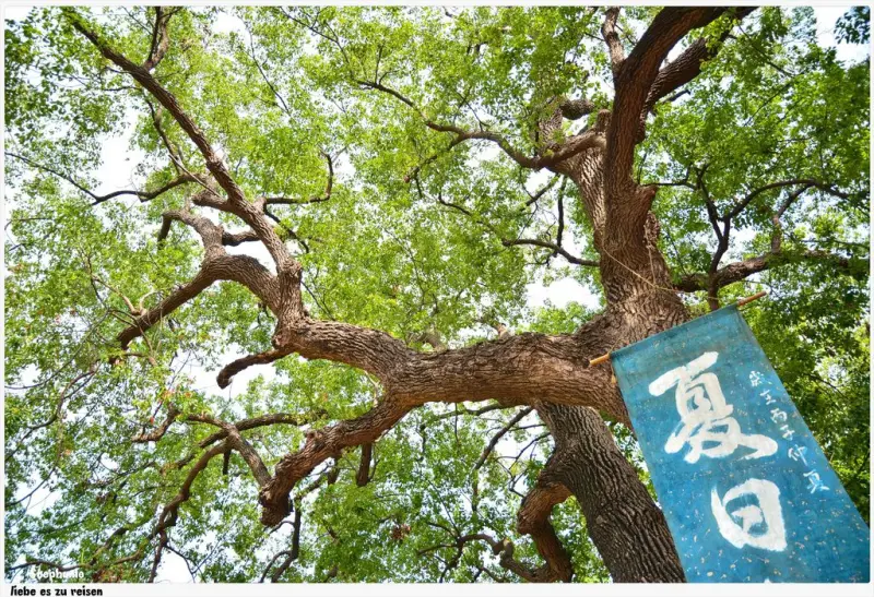 ｜高雄‧橋頭｜吃冰玩耍散步的好去處*橋頭糖廠