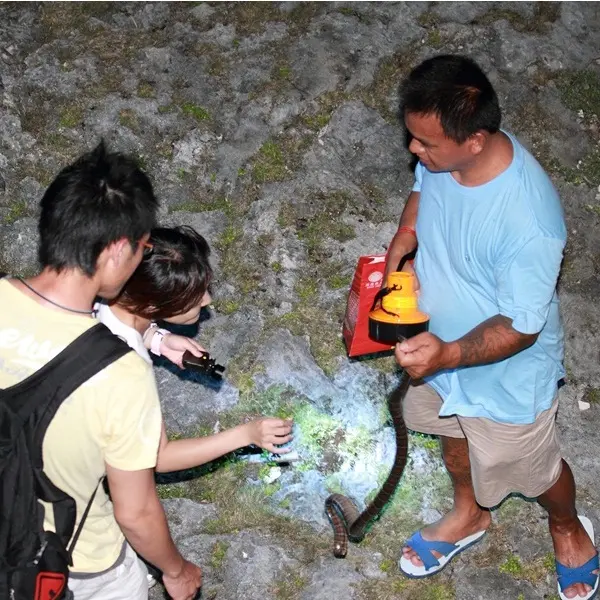 夜間觀察（努干工作室）