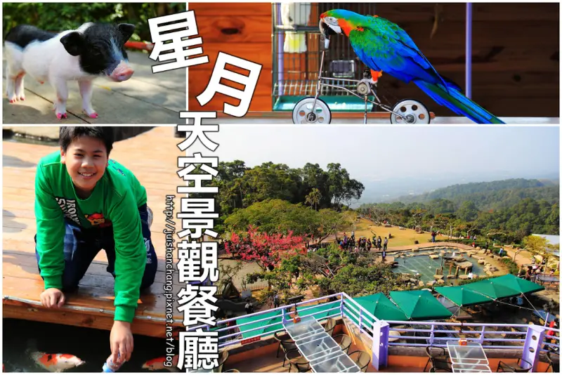 【南投猴探井旅遊景點】星月天空景觀餐廳～擁抱360度美景！