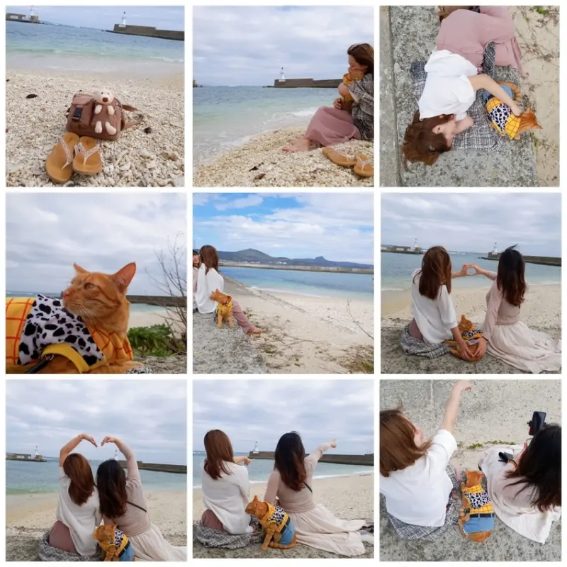 【屏東.恆春】墾丁後壁湖星砂灣。帶著貓咪散步去。暸望遠方燈塔超好拍 