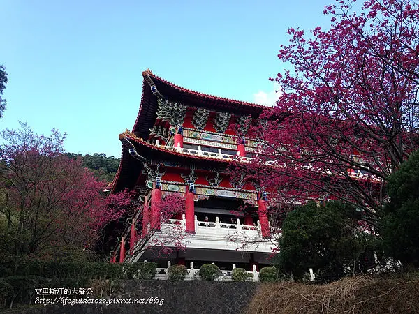 我的春節賞櫻行--吳氏宗祠