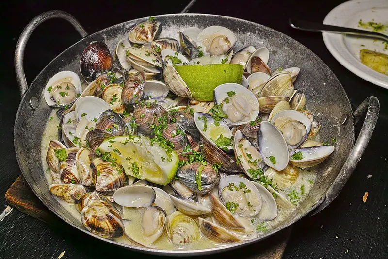 新北新店 私廚風無菜單的 蕃茄主義