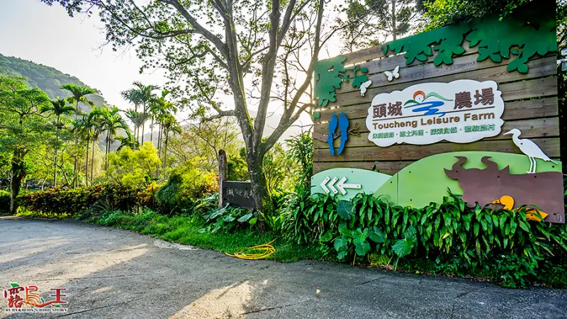 【體驗】宜蘭新港澳休閒農業區好吃好玩樂之來去頭城農場住一晚