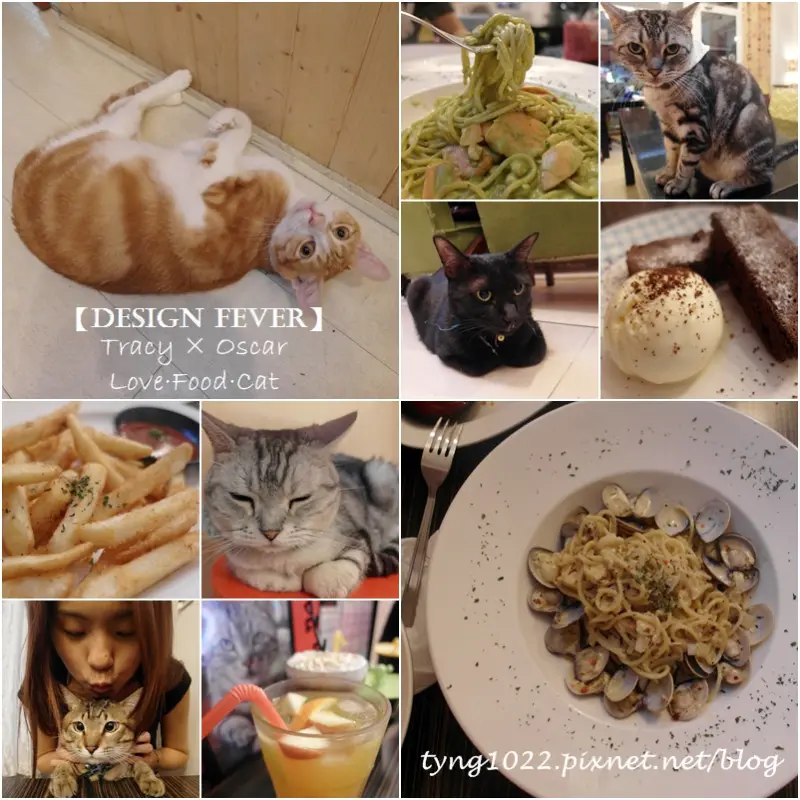 桃園中壢┃Design.Fever設計義式品嚐館┃貓餐廳