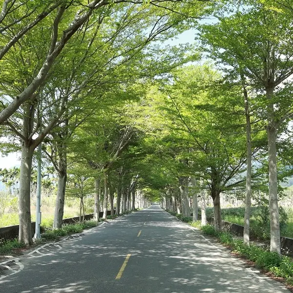 龍田鐵馬自行車道