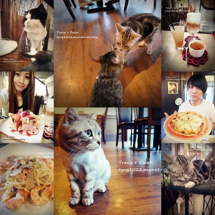 桃園中壢┃Top Point Cafe突點咖啡館┃貓餐廳