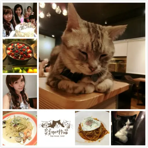 桃園/中壢 福州路-突奌咖啡喵 -義大利麵