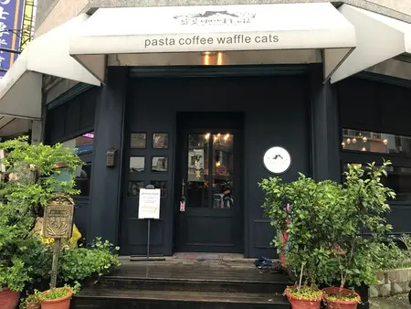 【美食】桃園中壢-突点咖啡喵Top-Point Cafe-愛貓人士不要錯過!!!-義大利麵+鬆餅+pizza