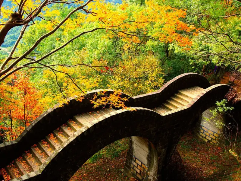 [台北] 拱北殿。百年古剎裡的一抹楓紅