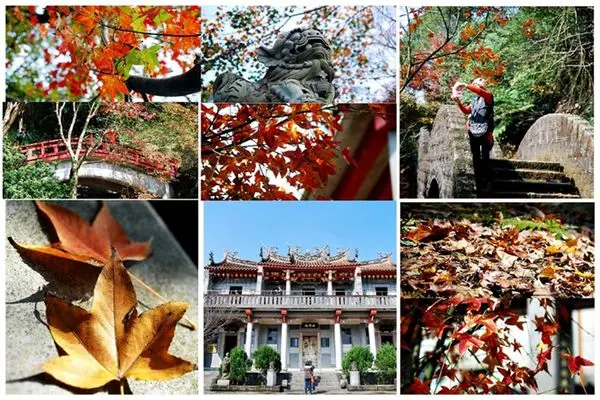 汐止‧拱北殿好楓景